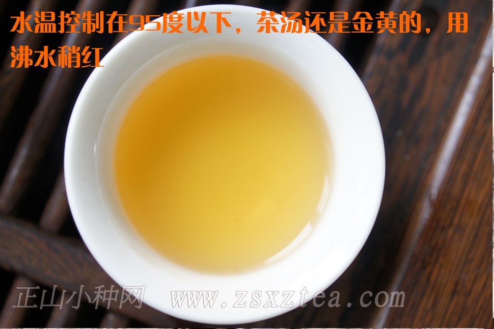 高山花香正山小种茶汤