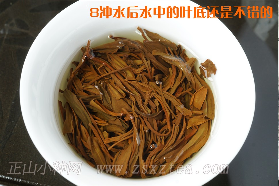 高山花香正山小种水中叶底