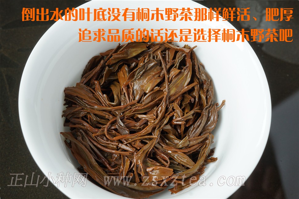 高山花香正山小种叶底