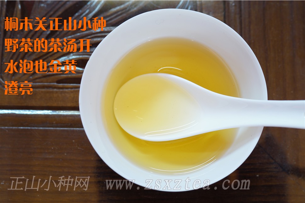 桐木关正山小种野茶茶汤颜色