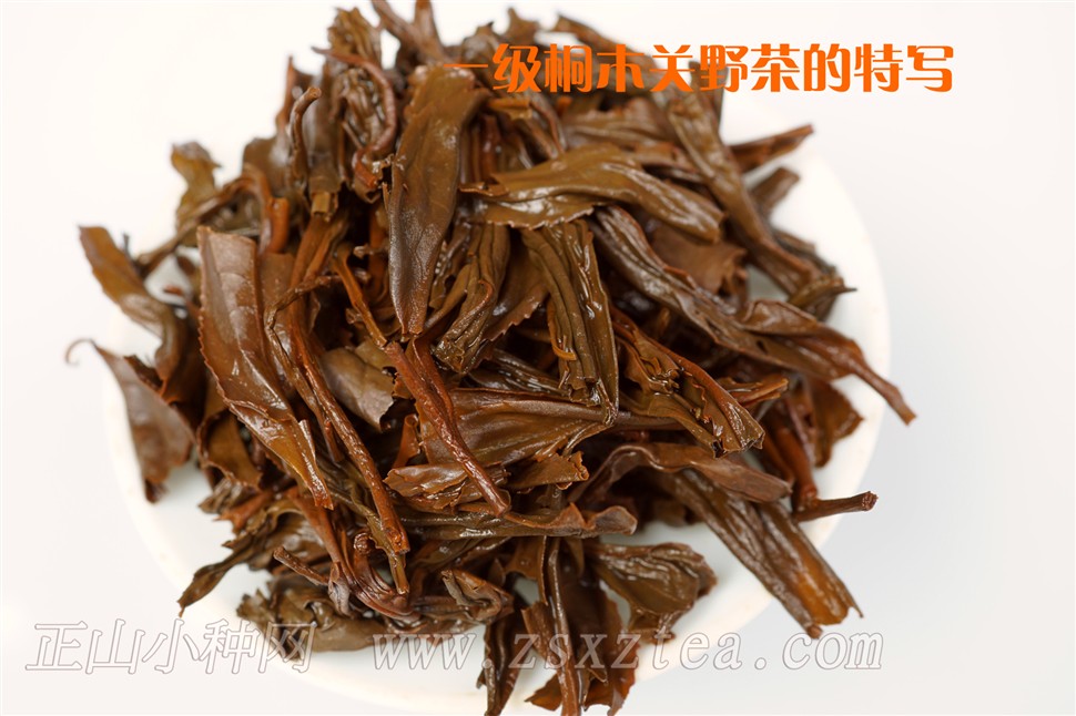 桐木关正山小种野茶叶底
