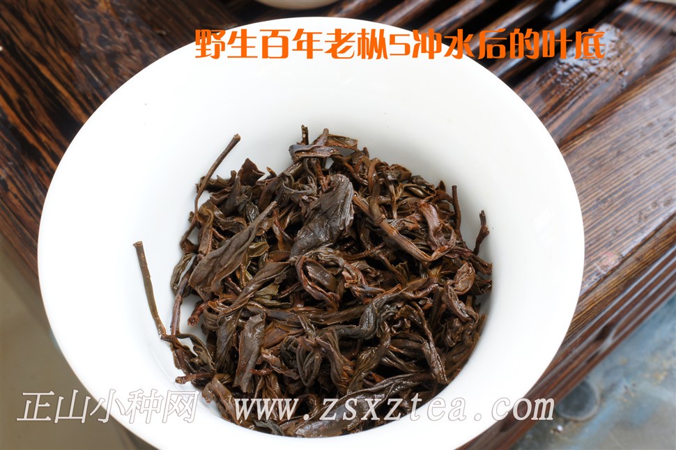 桐木关特级百年老枞野生红茶干茶特写