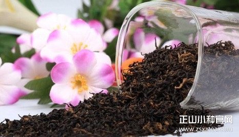 红茶 小种红茶