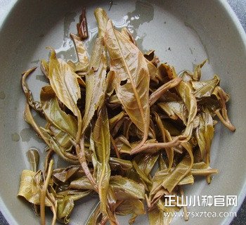 正山小种