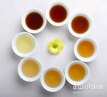 正山小种 普洱