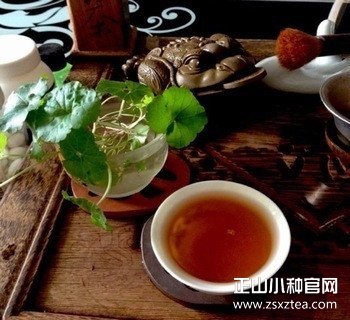 正山小种